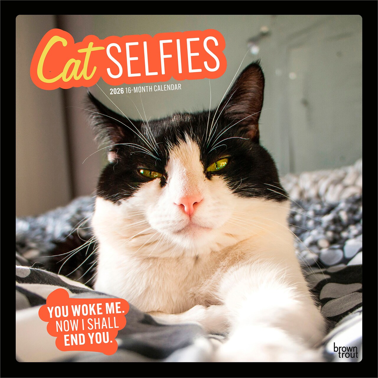 Cat Selfies | 2026 12 x 24 Inch (Hanging) Monthly Square Wall Calendar | Plastic-Free